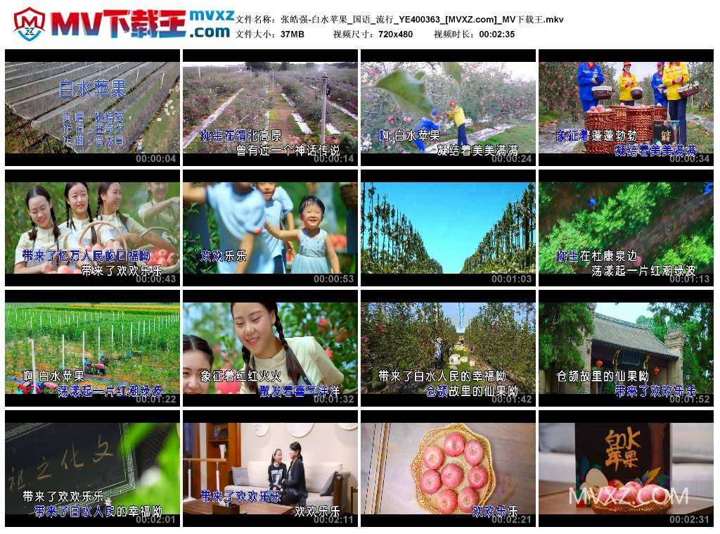 张皓强-白水苹果_国语_流行_YE400363